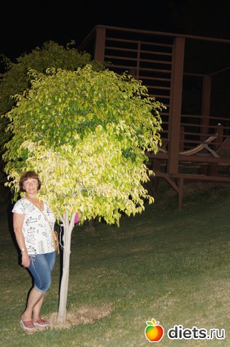 4 ����: ������ 2013 ������.