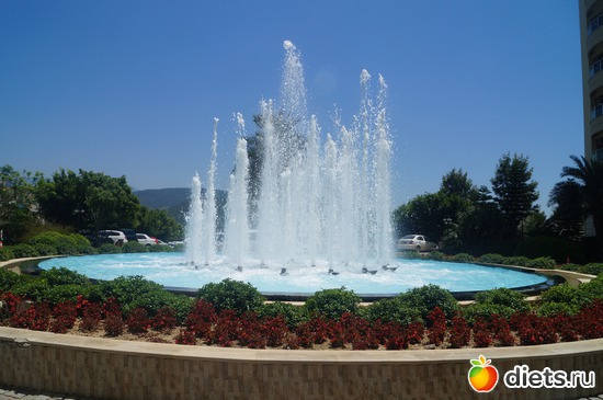 7 ����: ������ 2013 ������.