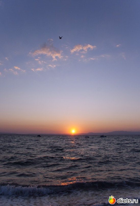 108 фото: Халкидики 2013