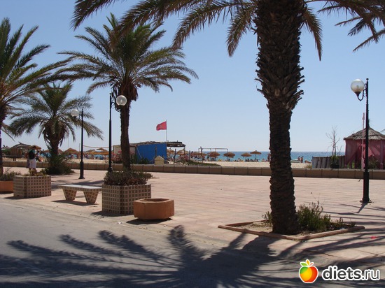 11 ����: Tunisia