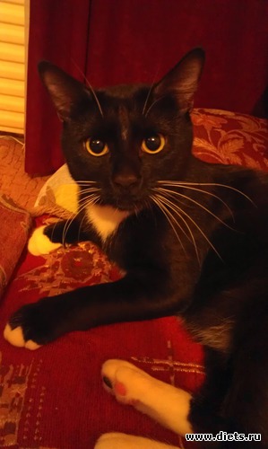 Я уже совсем большой, альбом: мое Щастье