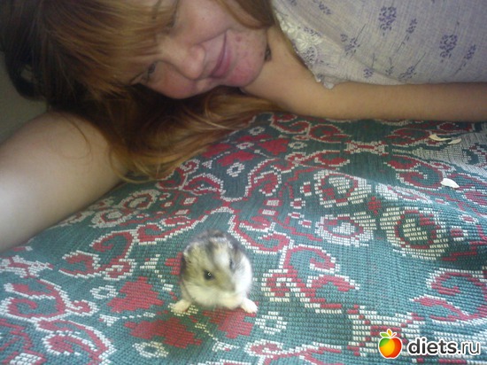 �����, ������: ������