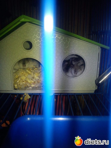 ����� � �����, ������: ������