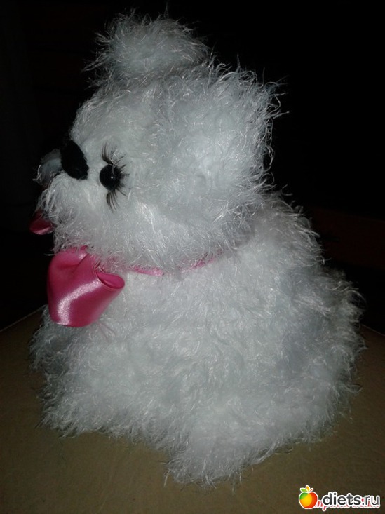 19 ����: ���������