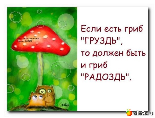 1 ����: ������� ����������!