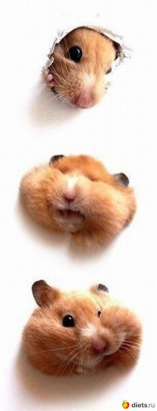 4 ����: ������� ����������!