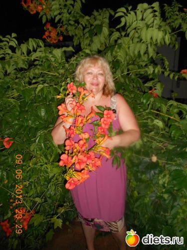 ��������� ���, ������: ������ 2013 �.