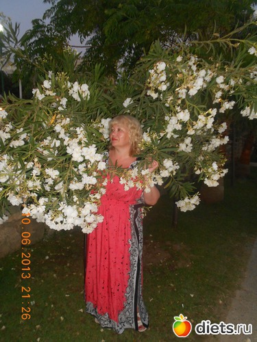 ����� � ������, ������: ������ 2013 �.