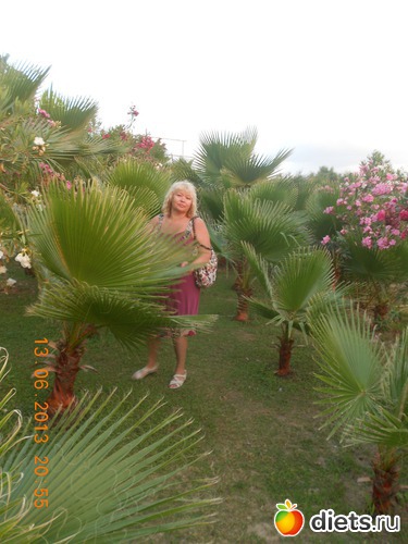 � �������...., ������: ������ 2013 �.