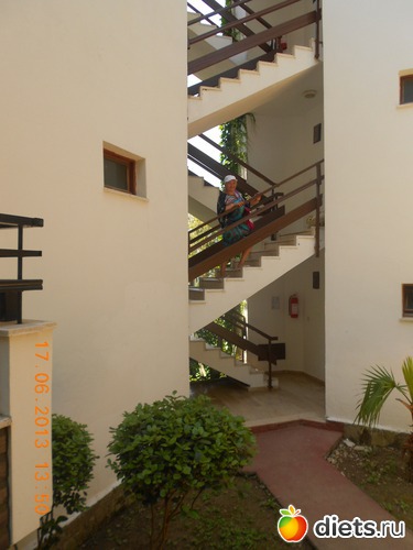 � �����...., ������: ������ 2013 �.