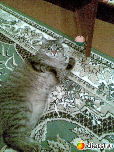 6 фото: Вера и др.