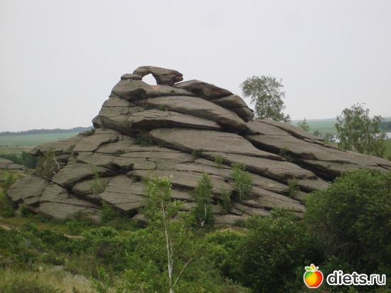 ��� ����� ��� ���������� �����, ������: ����� "�����������"