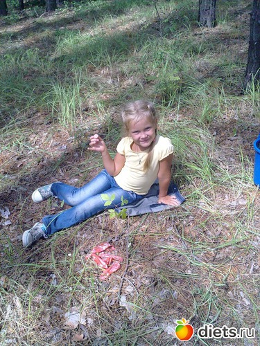 3 ����: �����