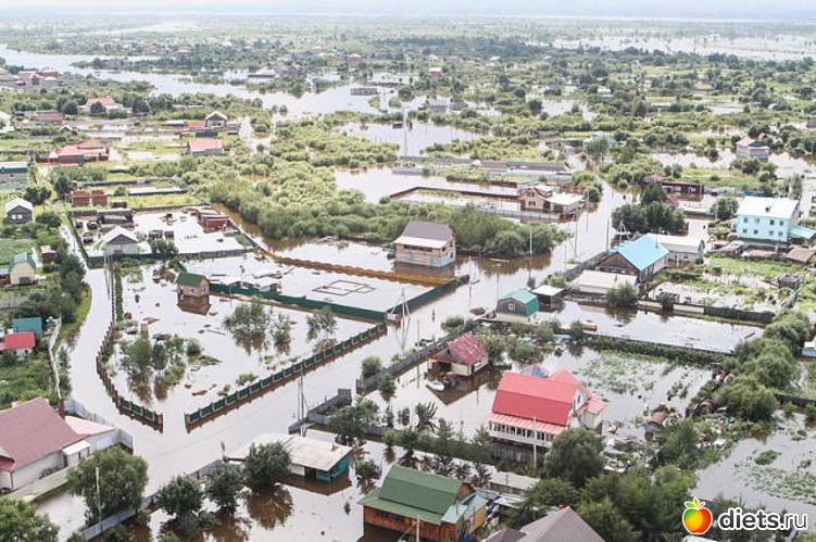 66 ����: ����