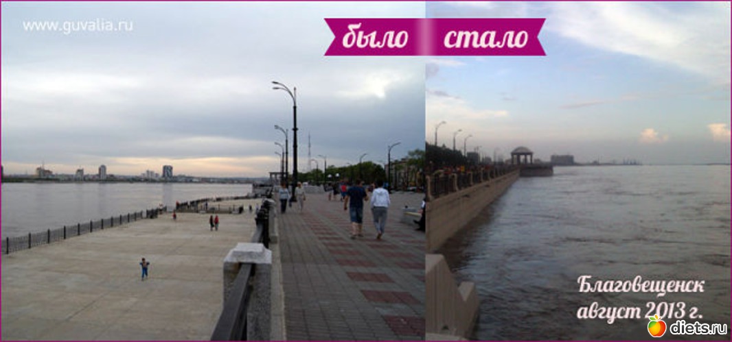 71 ����: ����