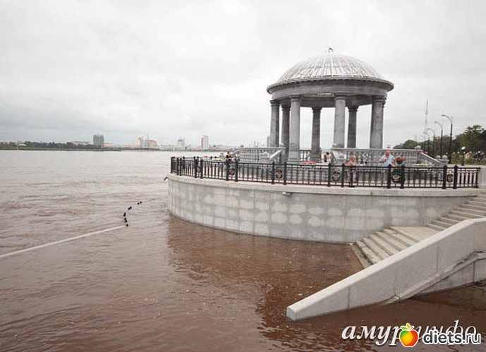 73 ����: ����