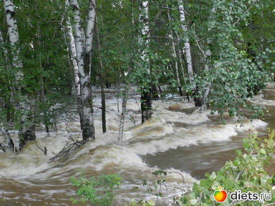 76 ����: ����