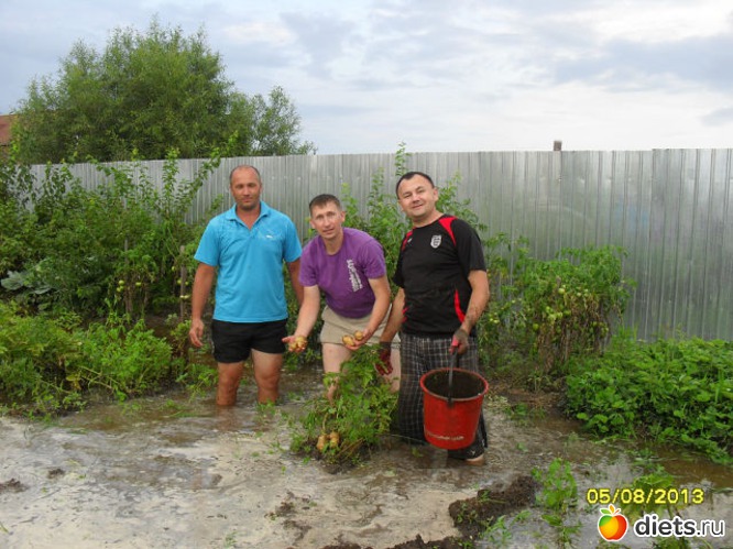 79 ����: ����