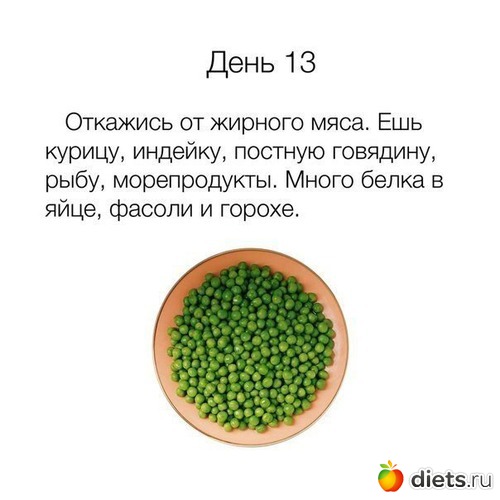 13 ����: �������2.