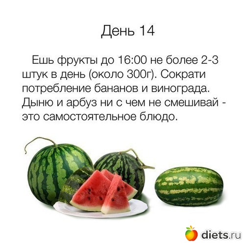 14 ����: �������2.