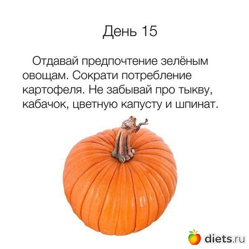 15 ����: �������2.