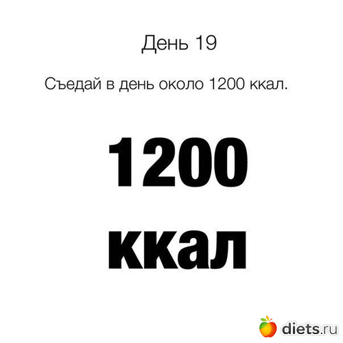 19 ����: �������2.