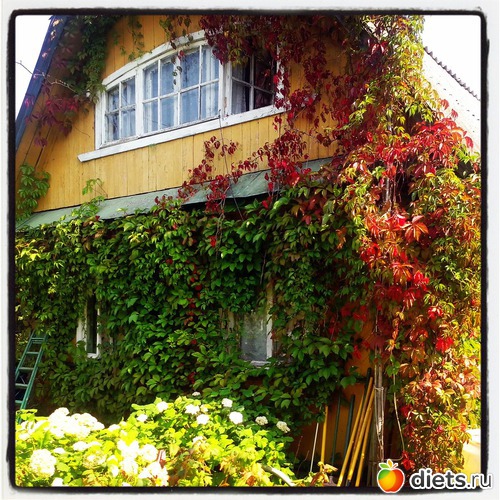 1 ����: ����