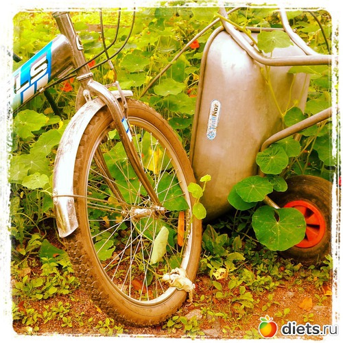 2 ����: ����