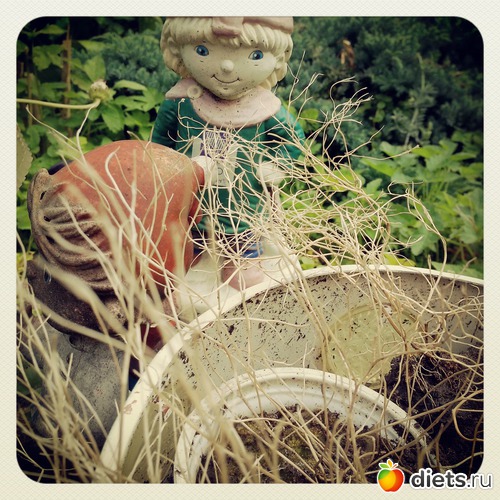 3 ����: ����