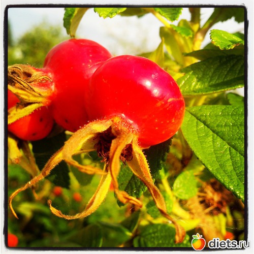 4 ����: ����