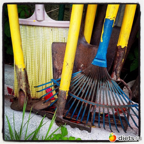 5 ����: ����