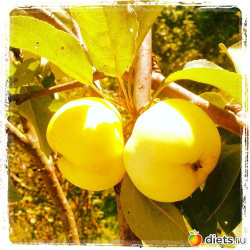 6 ����: ����