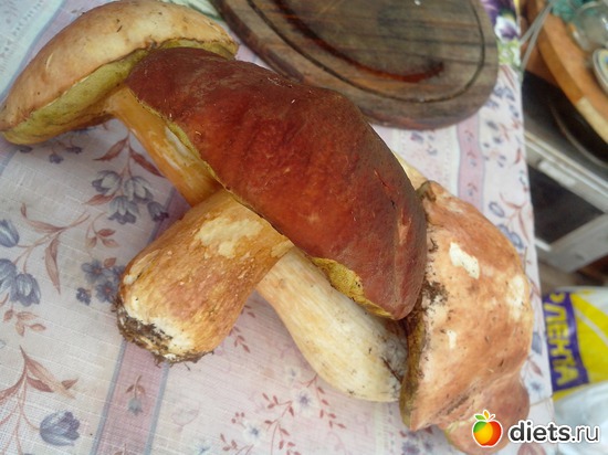 7 ����: ����