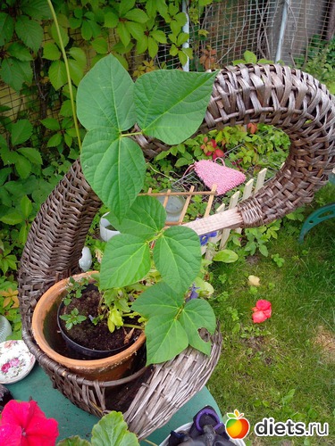 9 ����: ����