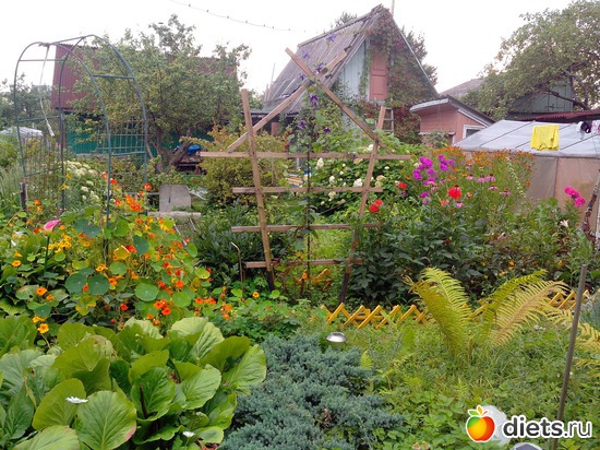 10 ����: ����