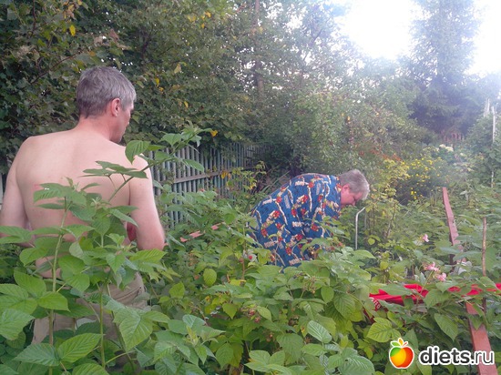 14 ����: ����