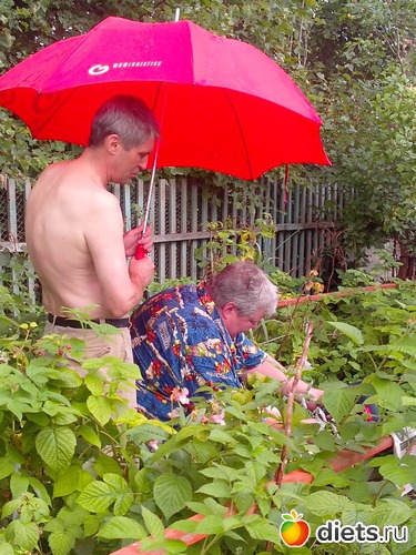 15 ����: ����