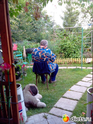 17 ����: ����