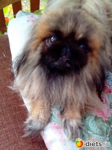 18 ����: ����