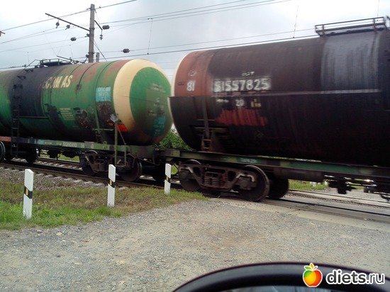 20 ����: ����