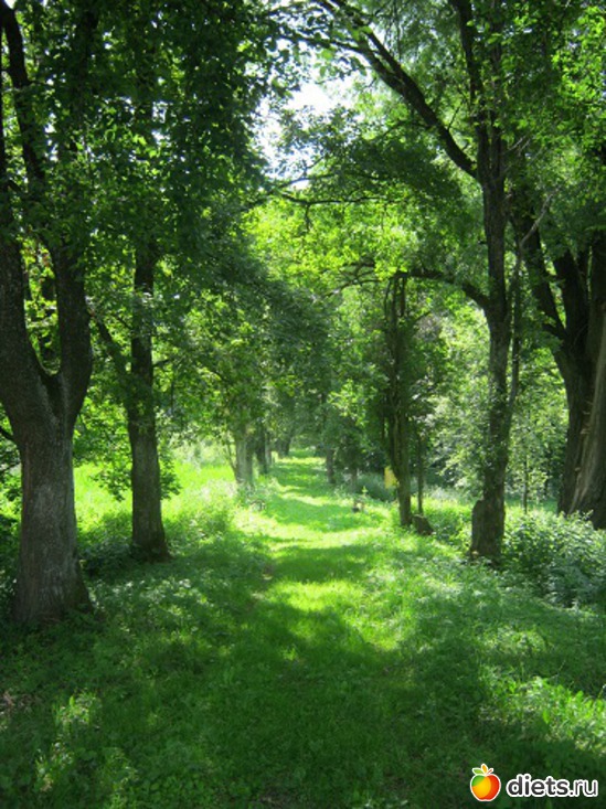 26 фото: Природа