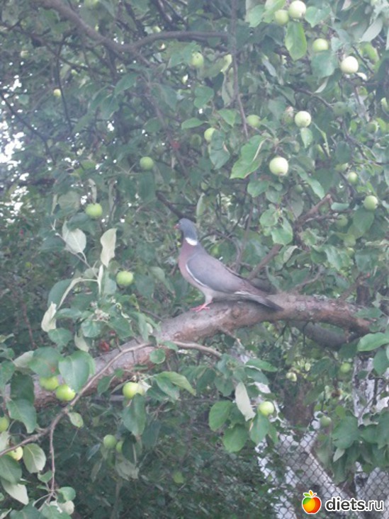 37 фото: Природа