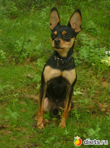 4 фото: Мой Рамзес