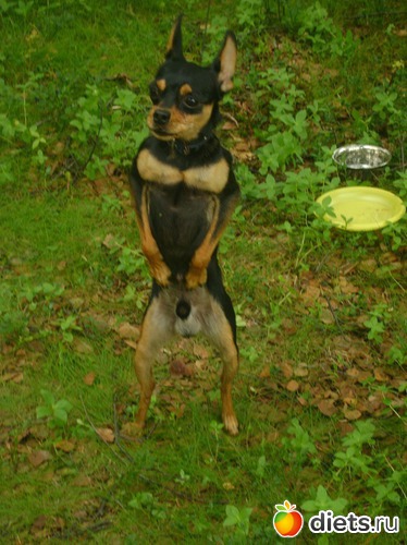 5 фото: Мой Рамзес