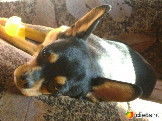 6 фото: Мой Рамзес