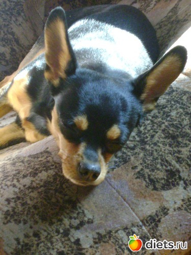 7 фото: Мой Рамзес