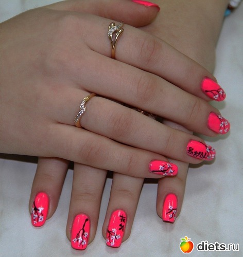 12 ����: ���� ������ �������! ��������� ���� � �������� �������� �������!