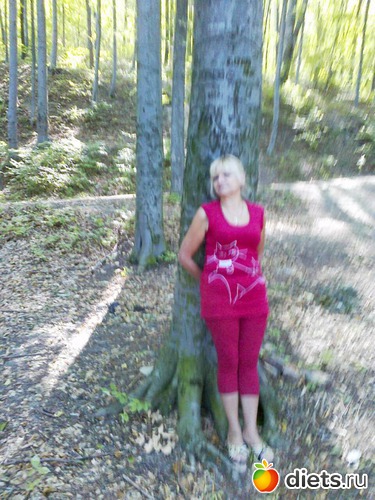 5 ����: ����� - �