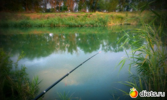 3 ����: ������� ��������������� ����