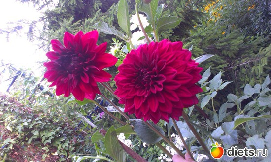 4 ����: ������� ��������������� ����